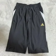 Item thumbnail for item 15916262-570e-40f4-bc56-72f8809133c4