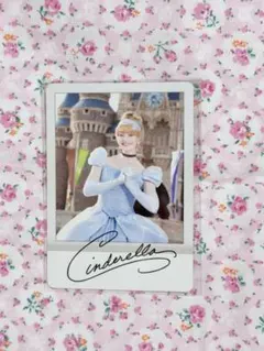 お買い得】ディズニー シンデレラ カード - メルカリ