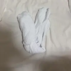 Item thumbnail for item a85d51e4-d7d4-4cec-848b-215af81597ed