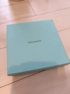 未使用品⭐︎Tiffany & Co. 5th Avenue プレートのサムネイル