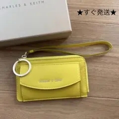 ほぼ未使用★CHARLES & KEITH ライムカラー フラグメントケース