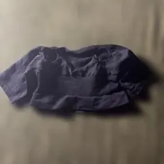 Item thumbnail for item 487ac018-4190-43f0-bea1-0e6d5ac1a8a7