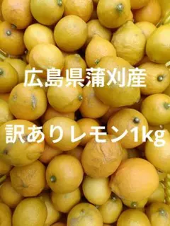 訳あり！！　広島県蒲刈産　レモン1kgのサムネイル
