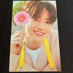 treasure blooming バインダー トレカ ジュンギュ