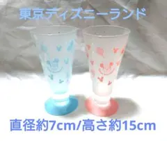 東京ディズニーランド ミッキー＆ ミニー ペアグラス 2個セット