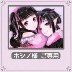 ホシノ様 ご専用