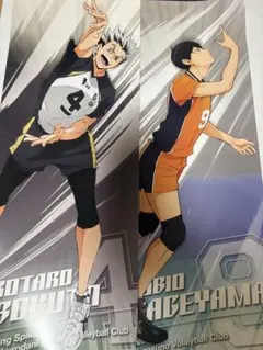 ハイキュー　キャラポスコレクション２