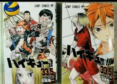 ハイキュー　ゴミ捨て場の決戦　映画特典　33.5巻
