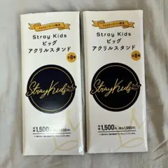 STRAY KIDS ビッグアクリルスタンド 2種 リノ ヒョンジン ファミマ