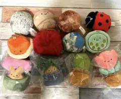 ニッコリーの 植物のぬいぐるみ UMA カプセルトイ ガチャ Qualia