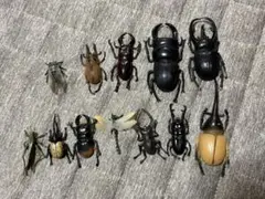昆虫 フィギュア 12体セット まとめ売りのサムネイル