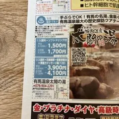 有馬温泉 太閤の湯 10月限定優待割引券