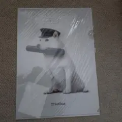 SoftBank 白い犬 A4クリアファイル