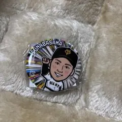 Item thumbnail for item adee4c80-de6b-4c7b-a08a-cf070aef66eb