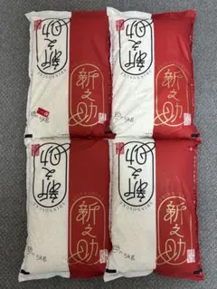 米20kg 新之助 冬眠米 備蓄王5kgx4 無洗米 真空パック 長期保存 Amazon.co.jp: 長期保存可能 備蓄米 備蓄王 20kg(5kg×4) 無洗米 国産米