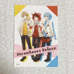 すとぷり 年下組 信号機組 ブロマイド