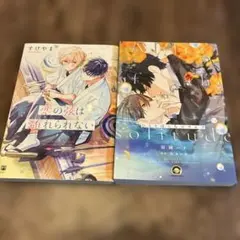 BLコミック 2冊セット まとめ売り