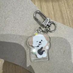 アントン　ランダムアクリルキーホルダー 東京ドーム　RIIZE