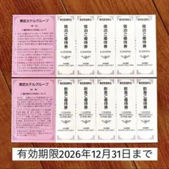 東武ホテルグループ 宿泊ご優待券 5枚➕飲食ご優待券 5枚のサムネイル