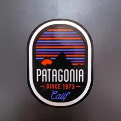 正規品　patagonia ステッカー