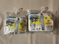 Item thumbnail for item a7ed3842-87c6-4d8c-b13f-d85a9273937c