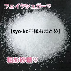 【syo-ko♡様おまとめ】スクイーズフェイクパン粉 20g とフェイクシュガー