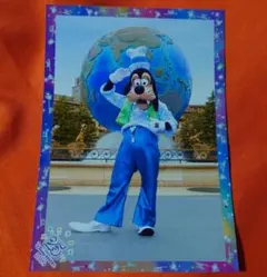 ディズニーランド　 25周年　スペフォ　グーフィー　スペシャルフォト