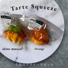 とびでーるフルーツ水餅 スクイーズ コンプリートセット - メルカリ