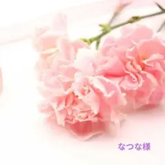 【なつな様専用】商品