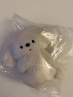 にこやまポッケ　ガチャガチャ　コアラキーホルダー