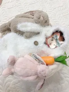 ニューボーンフォト衣装