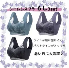 ナイトブラ 6L 3枚セット