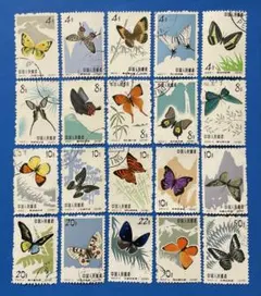 Item thumbnail for item 56330161-4b7b-4f69-8ef5-7c2ec6754bb0