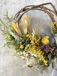 ミモザ　春のお花のspring wreath♡ドライフラワー　ラナンキュラス