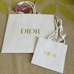Dior ショッパー袋 大小セット