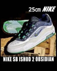 ほぼ未使用 NIKE SB AIR MAX ISHOD 25cm ナイキ