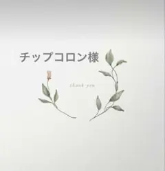 チップコロン様 リクエスト 2点 まとめ商品