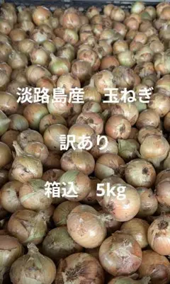 淡路島産　玉ねぎ　ターザン　訳あり　箱込5kgのサムネイル