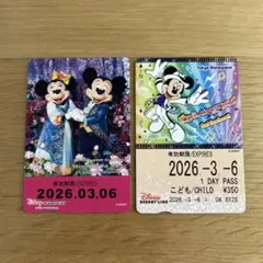 ディズニー　フリーきっぷ　リゾートライン　コレクション