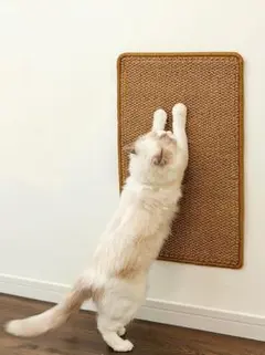 고양이 발톱 샤프닝 매트, 고양이 발톱 샤프닝 시트 (30*60cm)