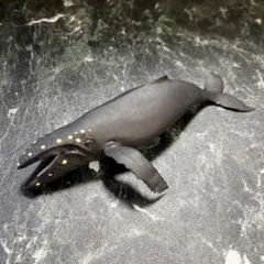 Item thumbnail for item d4c1e515-a19a-440f-a8da-2f2eb0912ed1