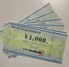 ビックカメラ株主優待券◆1000円×6枚のサムネイル