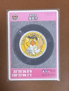 マンホールカード 福岡県 19枚 マンホールカード 福岡県 19枚 マンホールカード 福岡県 19枚