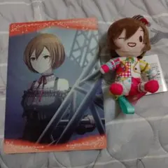 プロジェクトセカイ MEIKO ぬいぐるみ 下敷き セット