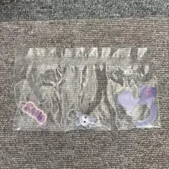 TWICE LOVELYS サナ アクリルカラビナフロッキーマスコットガチャ