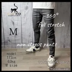 【超ストレッチパンツ】①お洒落細身シルエット大人気 ザラ ロンハーマン 好きな方