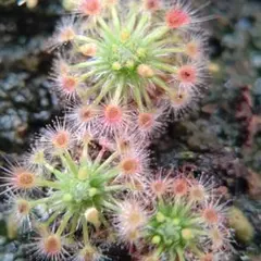 まーさん様 リクエスト 3点 まとめ商品