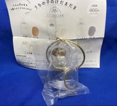 ◎ うちの子のけだまだま　シャム　正規品　ガチャ