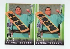 Item thumbnail for item 017ed6a4-ab7f-402a-b7d2-5f02bb7be55e