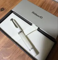 Pelikan 万年筆 ホワイトストライプ　EEF調整のサムネイル